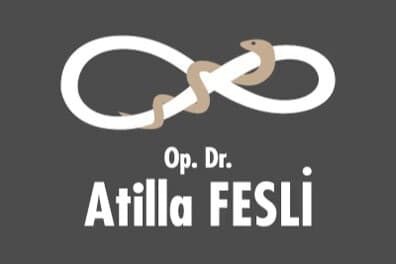 Atilla Fesli